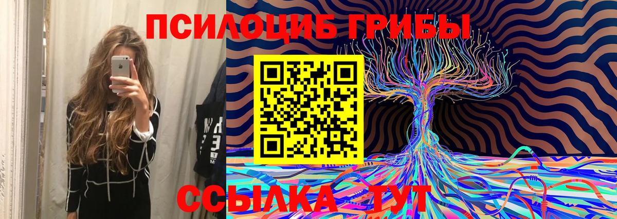 Орск  Галлюциногенные грибы Magic Shrooms  Вход с VPN 
